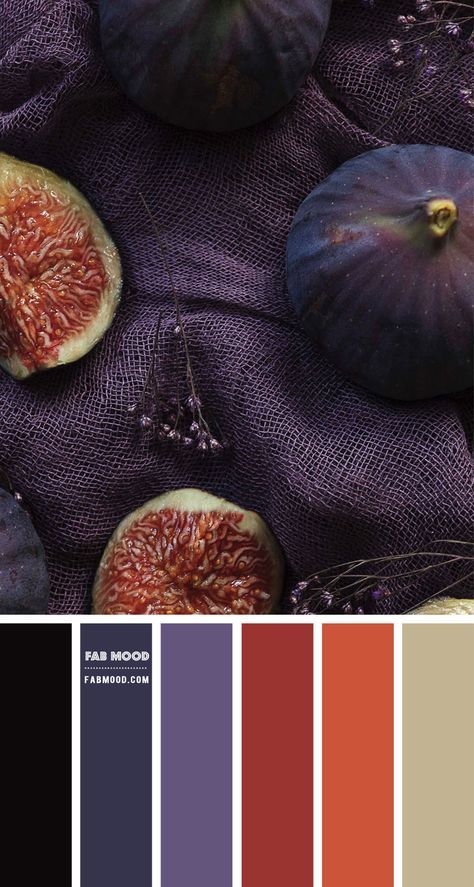 autumn color palette, fall color palette, fig color palette, purple color scheme, plum color scheme Copper Palette Color Combos, Opulent Colour Palette, Purple And Copper Color Palette, Figs Color Palette, Fall Color Palette With Black, Plum Complementary Color, Copper Colour Combinations, Plum Color Combinations, Fig Color Palette