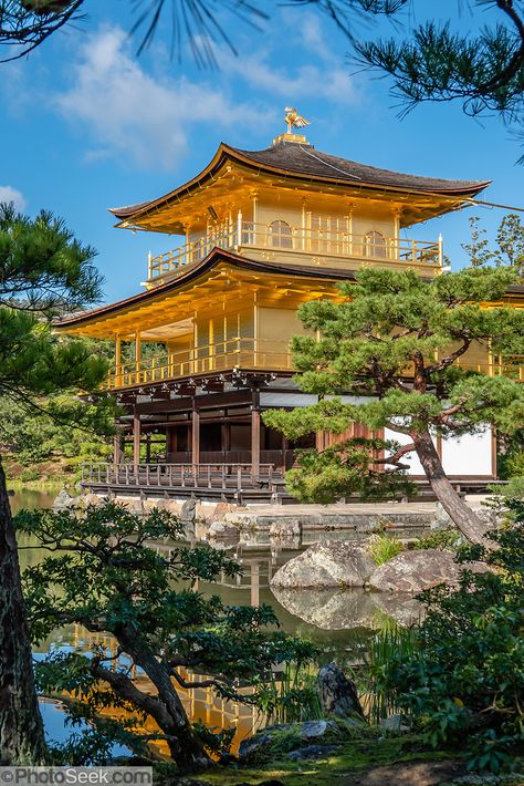 Ginkakuji, Zen Temple, Large Pond, Golden Phoenix, Golden Pavilion, Japan Landscape, Heian Period, Asian Garden, Golden Temple