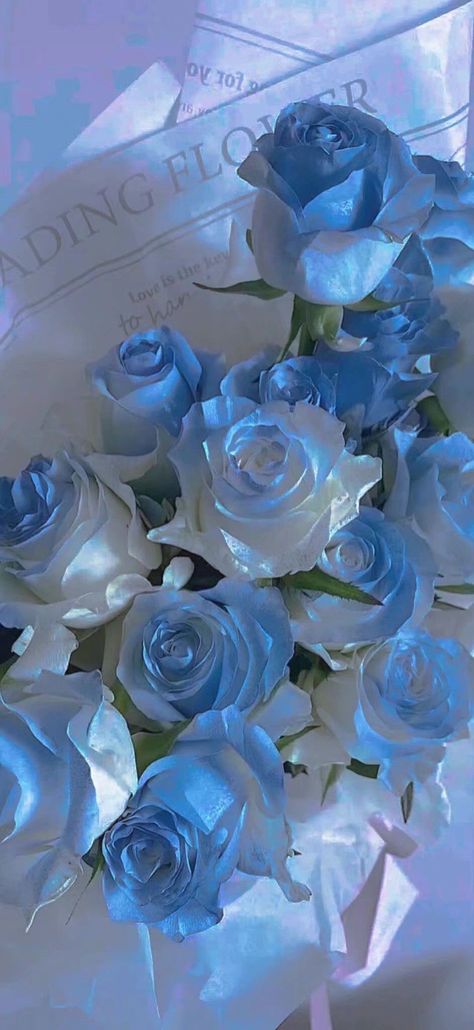 Blue Roses Wallpaper, Baby Blue Wallpaper, Blue Rose Tattoos, Blue Flower Wallpaper, Light Blue Roses, Cute Blue Wallpaper, Light Blue Aesthetic, Flowery Wallpaper, Blue Aesthetic Pastel