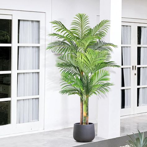 Amazon.com: Keeplush 6ft Tall Triple Golden Cane Palm Artificial Tree Large Tropical Palm Tree UV Resistant Fake Plant in Pot for Indoor Outdoor Big House Living Room Outside Patio Office Home Decor 1Pack : Home & Kitchen Iv Lounge, Golden Cane Palm, Elephant Rings, Patio Office, Fake Palm Tree, Backyard Garden Diy, Backyard Dreams, Plant In Pot, Artificial Plants Outdoor