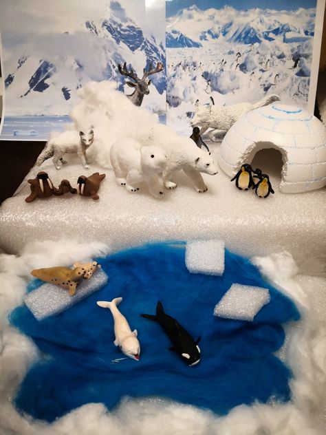 Artic Habitat Project For Kids, Habitat Diorama, Arctic Habitat, Winter Science Activities, Diorama Kids, Habitats Projects, Environment Projects, Winter Science, December Crafts