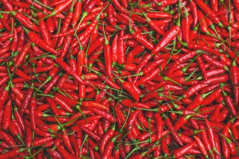 Fresh red chili background Premium Photo | Premium Photo #Freepik #photo #background #red #chili #hot Chili Background, Tom Yum Kung, Chili Pepper Sauce, Stone Tile Wall, Spicy Soup, Thailand Food, Red Chili Peppers, Chili Red, Hottest Chili Pepper