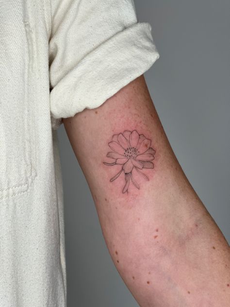 Montana State Flower Tattoo, Montana Flower Tattoo, Montana Tattoo For Women, Bitterroot Flower Tattoo, Montana Tattoos, Montana Tattoo Ideas, Bitterroot Flower, Montana Tattoo, Art Tattoos