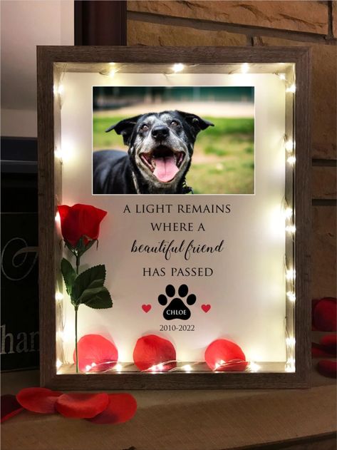 Dog Memorial Gift. Loss of Dog Sympathy Gift. A light Remains. Lighted Shadow Box. Add any text, photos. Lighted Shadow Box, Pet Memorial Ideas Dogs, Dog Shadow Box, Dog Sympathy Gifts, Sublimacion Ideas, Rose Colors, Pet Scrapbook, Custom Shadow Box, Dog Sympathy