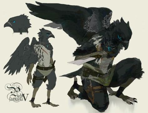 Anthro RP Characters - catfolk, bearfolk etc #ttrpg character concept art Dnd Aarakocra, Kenku Dnd, Dnd Monk, Bird People, 다크 판타지, Dungeons And Dragons Characters, Arte Fantasy, 판타지 아트, Creature Concept