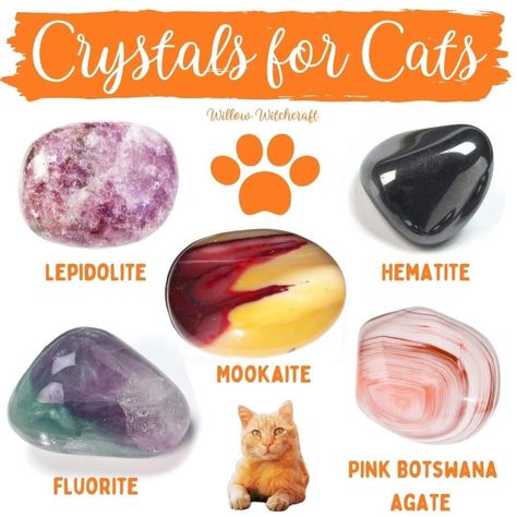 Crystal Powers, Chakra Stones Healing Crystals, Witch Life, Crystal Magick, Animal Reiki, Crystal Work, Spell Jars, Spell Jar, Crystal Cave