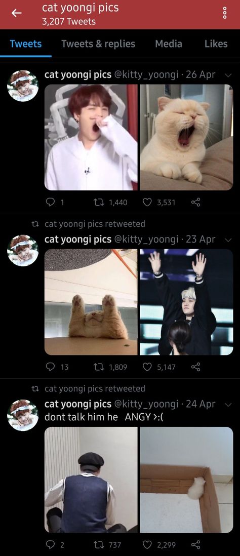 Yoongi Lil Meow Meow, Suga Lil Meow Meow, Yoongi Cat, Lil Meow Meow, Yoongi Funny, Old Grandpa, Kpop Bias, Bts Texts, Bts Ot7