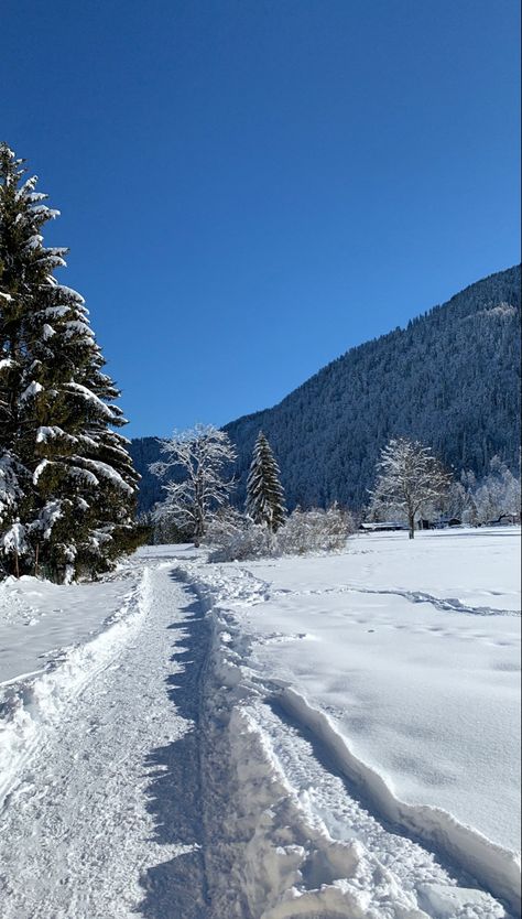 Snow In Mountains, Snow Widget, Snowy Mountains Aesthetic, Chalet Aesthetic, Russian Palace, Montana Nature, Arctic Tundra, Snow Place, Snow Mountains