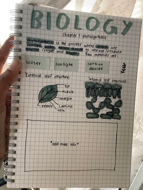 Biology Notes Aesthetic Photosynthesis, Leaf Structure Biology Notes, Notes Idea, Leaf Structure, College Student Hacks, Student Hacks, Biology Notes, Meant To Be Quotes, Photosynthesis