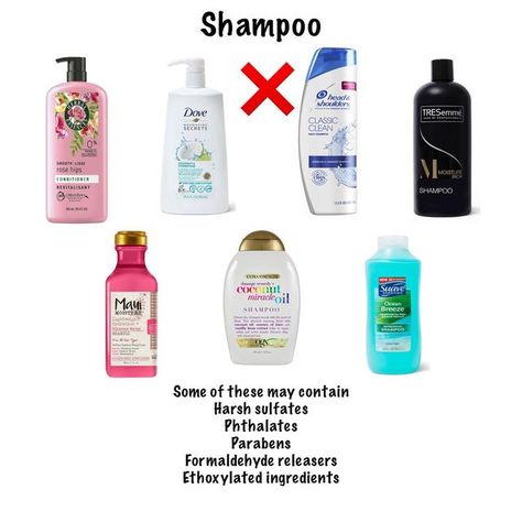 Shampoo For Dyed Hair, Shampoo Recommendations, Shampoo Brands, Metabolic Disorders, Organ System, Finding The One, Hair Treatments, At Your Own Pace, Your Own Pace