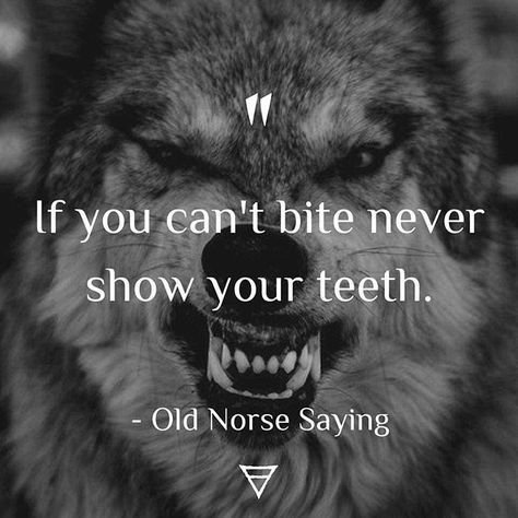 #wolfofodin #wolf #beardedheathen #beardedviking #proudheathen #heathenpride #heathen #heathenry #heathensofinstagram #vikingthefuckup… Norse Mythology Quotes, Viking Sayings Quotes, Viking Quotes Wisdom, Viking Quotes Warriors, Heathen Quotes, Norse Quote, Norse Proverbs, Norse Sayings, Viking Words