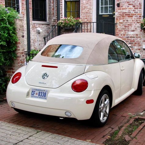 Nice convertable vw Vw Beatle Convertable, Volkswagen Bug Convertible, Pink Vw Beetle Interior, Volkswagon Bug Aesthetic, Bettle Volkswagen Convertible, Vw Bug Aesthetic, Beatle Car Volkswagen, Vw Beetle Custom, Bentley Auto