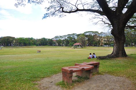 From Wikiwand: University of the Philippines Diliman University Of The Philippines Diliman, Up Diliman, University Of The Philippines, Goal Board, Sunken Garden, Definition Of Love, Maybe In Another Life, Everyday Art, Dream School