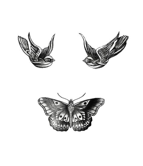 #harrystyles #tattoo #onedirection #freetoedit Harry Styles Butterfly, Tattoo Knee, Harry Tattoos, Harry Styles Memes, Harry Styles Tattoos, Harry Styles Nails, Samoan Tattoo, Harry Styles Aesthetic, Harry Styles Imagines