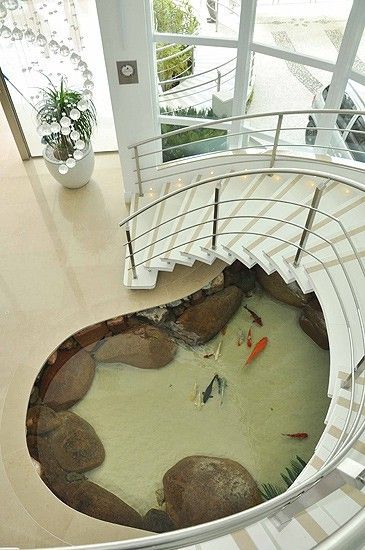 Kio pond under stairs Indoor Pond, Kolam Koi, Home Aquarium, Seni Dan Kraf, Inspiration Kitchen, Remodel Inspiration, Aquarium Design, Remodel Kitchen, Fish Pond