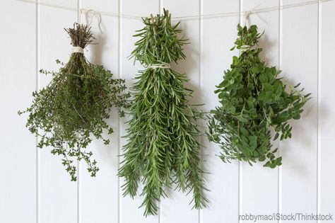 2 Simple Ways to Preserve Herbs - Hobby Farms Dry Rosemary, Dry Sage, Drying Fresh Herbs, Freezing Herbs, Sage Tea, Preserving Herbs, How To Dry Sage, How To Dry Rosemary, Flower Studio