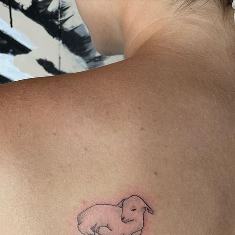 99 And 1 Sheep Tattoo, Shepherd And Sheep Tattoo, Tiny Lamb Tattoo, Small Lamb Tattoo, Baby Lamb Tattoo, Lamb Tattoo For Women, Lamb Tattoo Christian, Little Lamb Tattoo, Lion And The Lamb Tattoo