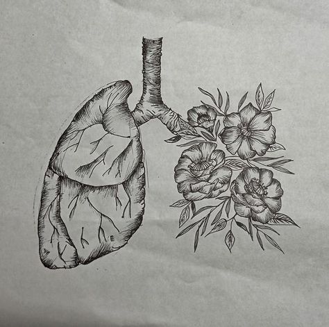 Lungs Drawing, Pencil Drawing Pictures, Biology Drawing, Lungs Art, Drawings With Meaning, Medical Drawings, Skeleton Drawings, Nature Sketch, Easy Canvas Art