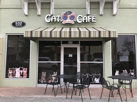 Cat Cafe Ideas, Cat Cafe Interior, Cat Cafe Aesthetic, Cat Coffee Shop, Cat Cafes, Pet Cafe, 9 Lives, Neko Atsume, Cat Lounge