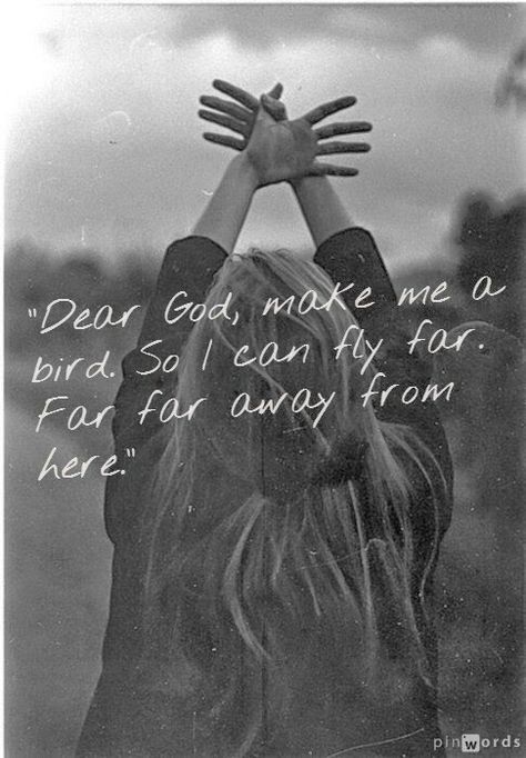 Somedays that would feel good..then that special someday..I pray..I'll fly away old glory..I'll fly away. Forrest Gump Quotes, Forest Gump, Bird Quotes, Forrest Gump, Tv Quotes, Dear Lord, Dear God, Lyric Quotes, A Quote