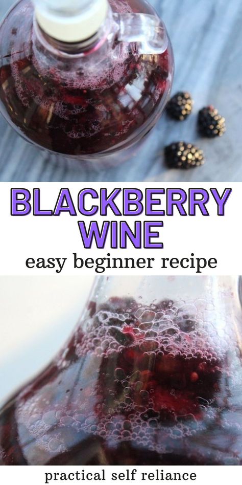 Raspberry Wine Recipe Homemade, Small Batch Wine Recipes, Mulberry Wine Recipe, Blackberry Wine Recipe, Fruit Wine Recipes, Homemade Spirits, Wine Recipes Drink, Wine Making Recipes, Homemade Wine Recipes