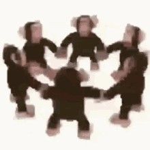 Manifesting Circle, Monkey Gif, Dancing Monkey, Monkey Dance, Prayer Circle, Prayer Vision Board, Dance Monkey, Goofy Ahh, Newt