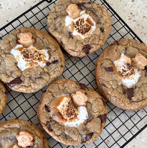 teddy bear s’mores cookies – audreysaurus Smores Ideas, Low Calorie Recipes Dinner, Graham Cookies, Teddy Bear Cookies, Bear Recipes, Smores Cookies, Chewy Sugar Cookies, Bear Cookies, Sugar Cookie Designs