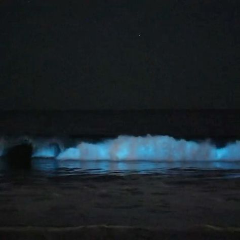 Bioluminescence Beach, Ocean At Night, Beach Night, Relaxing Places, Newport Beach, Orange County, Night Time, This World, Newport