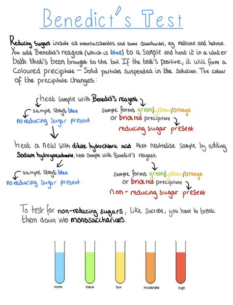 A-Level Biology revision on the Benedict’s Test for reducing and non-reducing sugars. Biology Revision Gcse, A Level Biology Notes, Alevel Biology, A Level Chemistry Notes, A Level Biology Revision, Biochemistry Notes, Learn Biology, Science Revision, Biology Revision