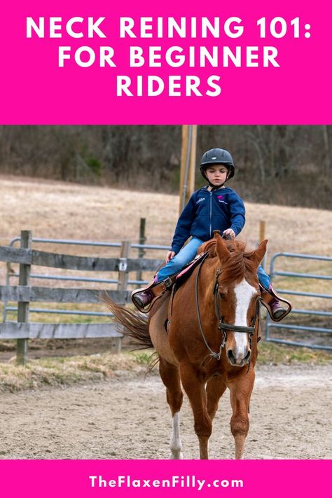 8 Tips to help you learn how to neck rein your horse like a pro. Struggling with learning to ride your horse in one hand? Check out these methods to improve your riding and get your horse responding to your cues more easily. How To Teach A Horse To Neck Rein, Reining Training, English Horseback Riding, Horseback Riding Lessons, Horse Training Exercises, Horseback Riding Tips, Horse Care Tips, Riding Lessons, Horse Owner