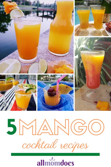 Five Refreshing Mango Drinks for Adults and Kids to Enjoy this Summer | AllMomDoes Cocktails With Mango Juice, Mango Frozen Drinks, Mango Puree Recipe For Drinks, Mango Juice Cocktail Recipes, Mango Tango Drink Cocktails, Mango Puree Cocktails, Mango Tango Drink Recipes, Mango Nectar Cocktail, Mango Drinks Nonalcoholic