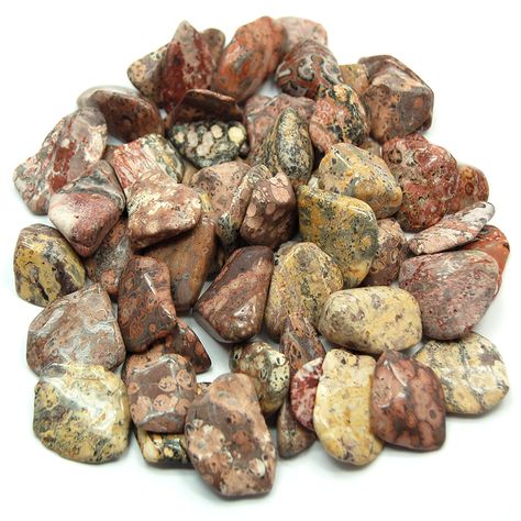 CLEARANCE - Tumbled Leopardskin Jasper (Brazil)- Leopardskin Jasper Leopardskin Jasper, Crystal Store, Wholesale Crystals, Divination Cards, Crystal Guide, Out Of Body, Gemini Sign, Special Prayers, Gemstone Pendants