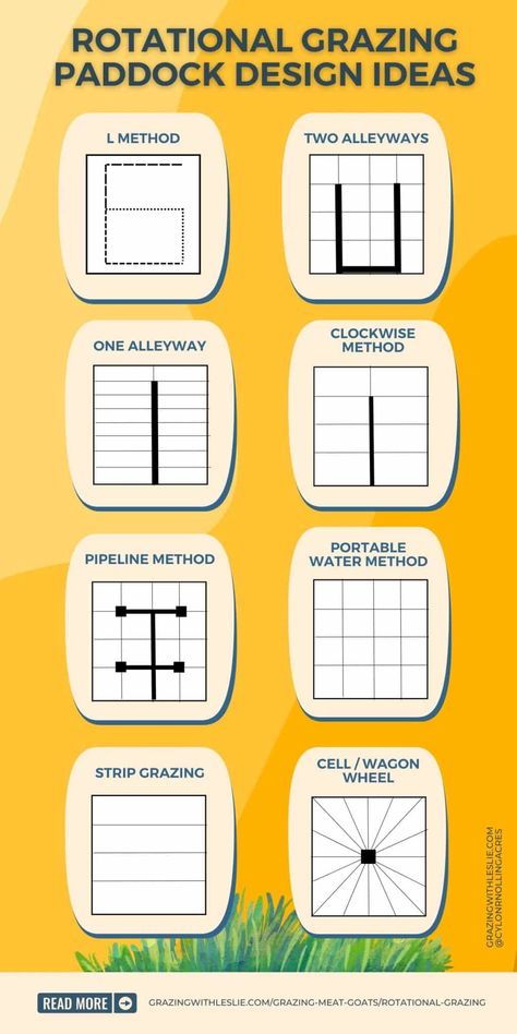Rotational grazing: A practical guide - Grazing with Leslie Round Bale Feeder, Rotational Grazing, Pastured Pigs, Poultry Farm Design, Drawing Salve, Horse Barn Ideas Stables, Black Drawing, Farm Plans, Farm Layout
