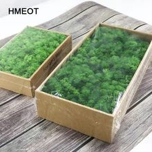 home decor 2021 - Buy home decor 2021 with free shipping on AliExpress Moss Grass, Landscape Accessories, Green Artwork, Wall Diy, Toxic Foods, Moss Garden, Preserved Moss, Moss Wall, Micro Landscape