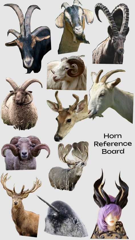 horns reference board Goat Horns Reference, Goat Horns Drawing Reference, Horns Drawing References, Horns Reference, Goat Horns, Reference Board, Draw Ideas, Ram Horns, Concept Board