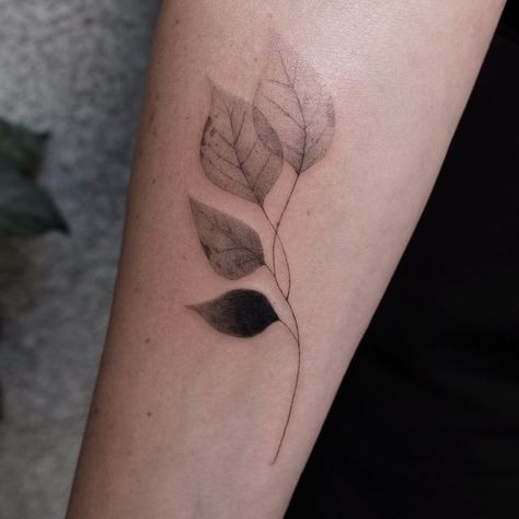 Black And White Cover Up Tattoo Ideas, Botanical Tattoo Cover Up, Minimal Leaf Tattoo, Leaf Cover Up Tattoo, Mimosa Tree Tattoo, Basic Flower Tattoo, Bodhi Leaf Tattoo, Tattoo Ideas Leaf, Tattoo Ideas Plants