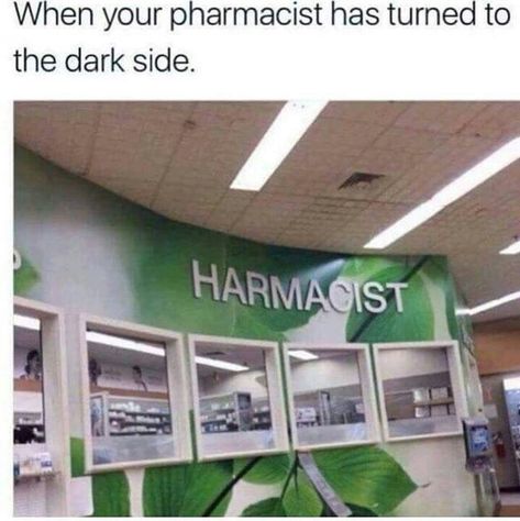 Please I just want my antidepressants Pharmacy Humor, Bee Movie, Minnetonka Moccasins, Moccasins Mens, The Dark Side, Pharmacist, Funny Pins, Tumblr Posts, Funny Posts