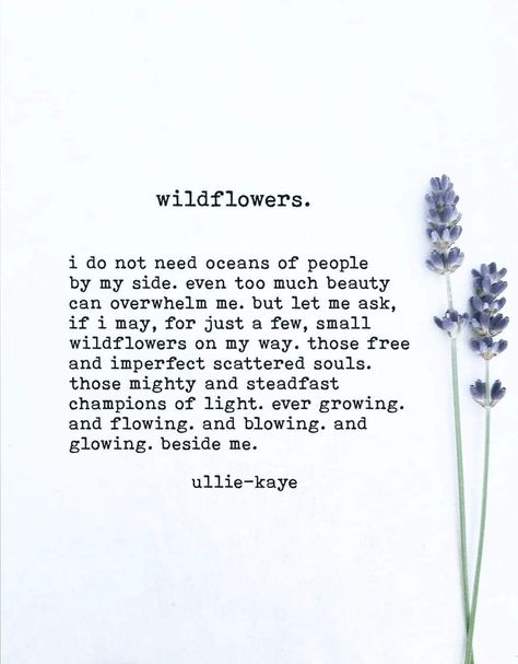 Wildflower Quotes, Ullie Kaye, Wild Flower Quotes, Mindset Coach, Quotes For Me, Flower Quotes, Yoga Quotes, Poetry Words, Nature Quotes