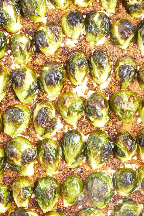 Make these Oven Roasted Parmesan Brussels Sprouts for a veggie-loaded side dish that’s perfect for fancy gatherings yet easy enough for weeknight meals! Oven Cooked Brussel Sprouts, Baked Brussel Sprouts Parmesan, Roasted Parmesan Brussel Sprouts, Brussel Sprouts Oven, Parmesan Brussel Sprouts, Parmesan Brussels Sprouts, Roasted Brussel Sprouts Oven, Baked Brussel Sprouts, Food Dolls