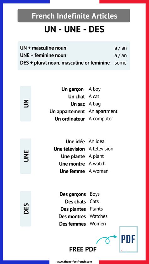 Basic French Grammar, French Grammar Rules, French Sentences With Meaning, French Grammar Worksheets, Grammar French, Articles In French, French Grammar Exercises, French Nouns, French Words With Meaning