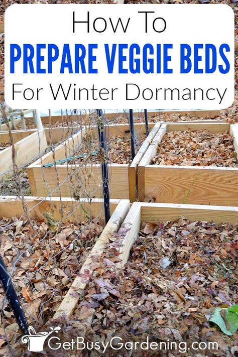 Preparing Garden In Fall, How To Winterize Your Vegetable Garden, Prep Garden For Winter, How To Prep Garden For Winter, Winter Garden Prep For Spring, Garden Prep In Fall, How To Prepare Garden For Winter, New Garden Bed Prep, Winter Garden Cover