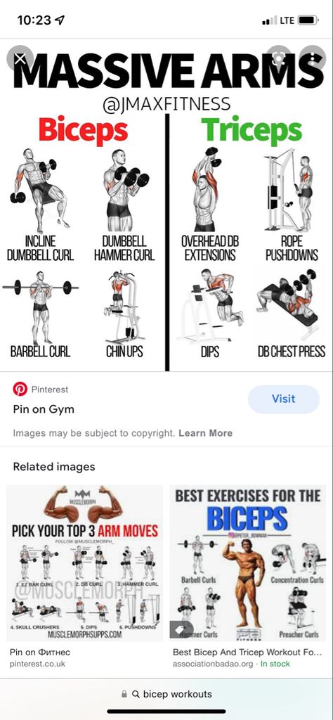 Workout 2023, Mules Animal, Workout Arms, Bigger Biceps, Bicep And Tricep Workout, Tricep Workout, Workout Gym Routine, Workout Program Gym, Gym Images