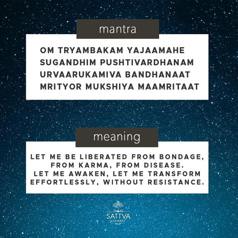 Maha Mitrunjaya Mantra, Mahadev Mantra, Maha Mantra, Shiva Quotes, Shiva Mantra, Lord Shiva Mantra, Indian Philosophy, Sanskrit Mantra, Mantra Quotes