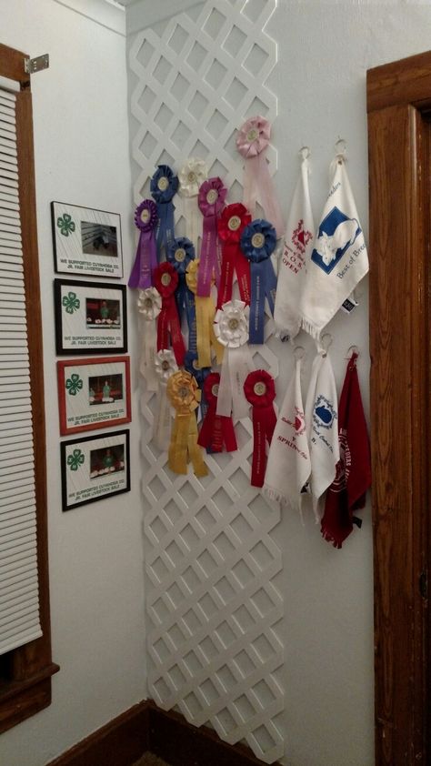 Horse Show Ribbon Storage, 4h Ribbon Display, Equestrian Ribbon Wall, Equestrian Room Decor, Equestrian Aesthetic Bedroom, Horse Rosette Display, 4-h Ribbon Display Ideas, Equestrian Ribbon Display Ideas, Rosette Display Ideas