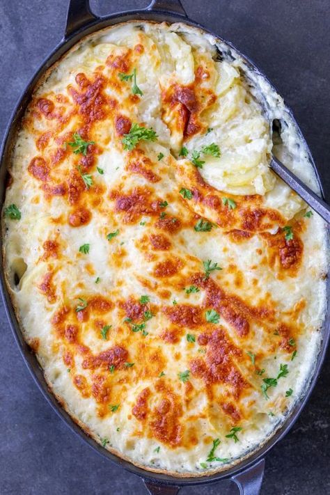 Best Scalloped Potatoes Recipe, The Best Scalloped Potatoes, Easy Scalloped Potatoes Recipe, Best Scalloped Potatoes, Parmesan Crusted Potatoes, Scalloped Potatoes Easy, Scalloped Potatoes Recipe, Baked Scallops, Creamy Potato Soup