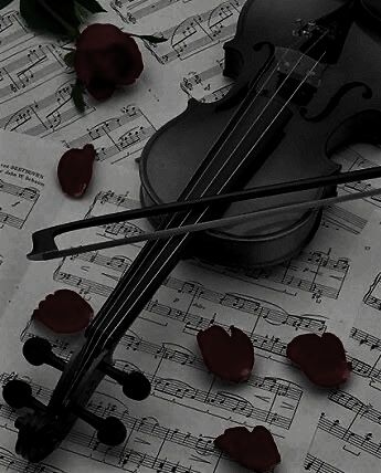 Violin Black Aesthetic, Violist Aesthetic, Black Violin Aesthetic, Dark Violin Aesthetic, Gothic Music Aesthetic, Goth Violin, Violin Wallpaper Aesthetic, Violin Aesthetic Dark, Gothic Violin