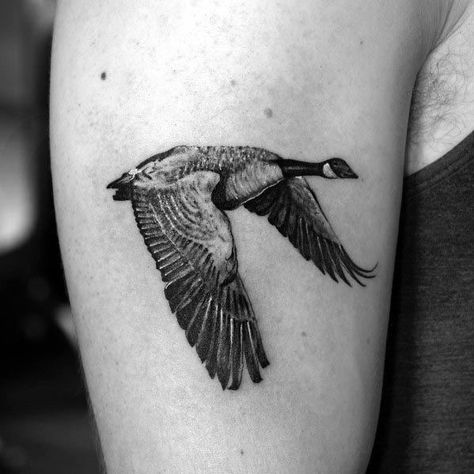 Goose Themed Tattoo Ideas For Men Hunting Tattoo Ideas, Goose Tattoo, Canada Tattoo, Duck Tattoos, Hunting Tattoos, Arrow Tattoo Design, Goose Hunting, Single Needle Tattoo, Trash Polka Tattoo