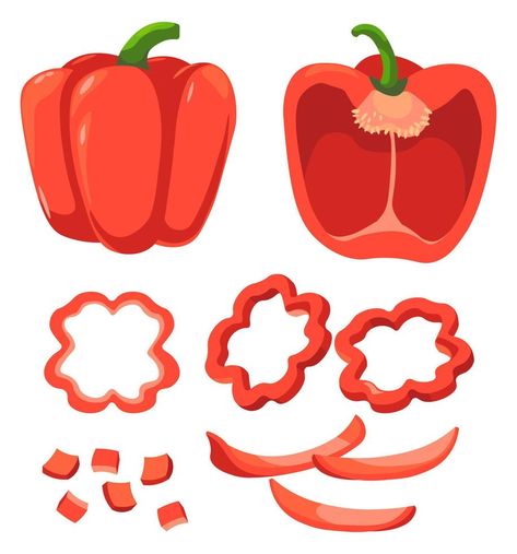 Sweet pepper, bulgarian or bell, sliced veggie Bell Pepper Illustration, Paprika Illustration, Bell Pepper Drawing, Pepper Illustration, Vector Nature, Sweet Pepper, Stuffed Sweet Peppers, Bell Pepper, Food Diary