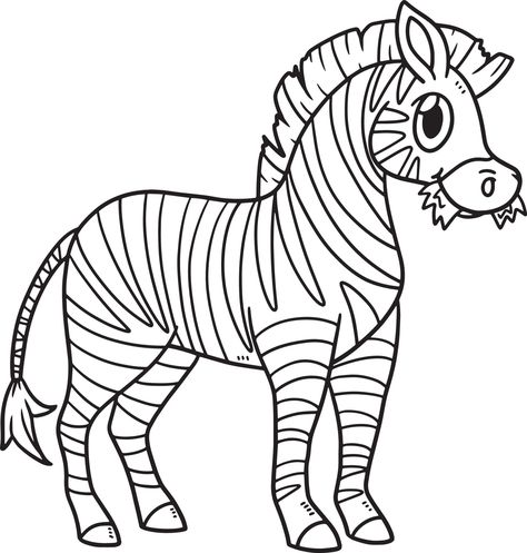 Download the Zebra Animal Isolated Coloring Page for Kids 10993666 royalty-free Vector from Vecteezy for your project and explore over a million other vectors, icons and clipart graphics! Easy Coloring Pages For Kids, Zebra Coloring Pages, Zebra Clipart, Flamingo Coloring Page, Family Coloring Pages, Soft Green Color, Zebra Animal, Printable Animals, Easy Coloring