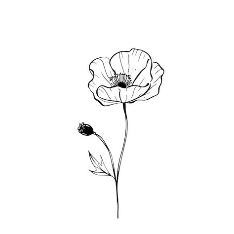 Poppy Flower Drawing Simple Images - Free Download on Freepik Drawing Of Poppy Flower, Poppy Simple Drawing, Poppy Flower Drawing Simple, Poppy Drawing Simple, Poppy Flower Sketch, Red Poppy Drawing, Poppy Line Drawing, Poppy Doodle, California Poppy Drawing